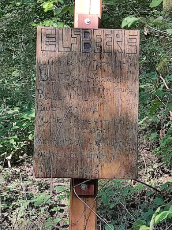 Bild von Waldschänke Obereisesheim