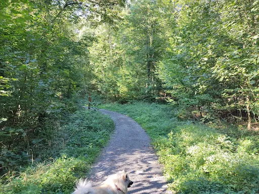 Bild von Waldschänke Obereisesheim