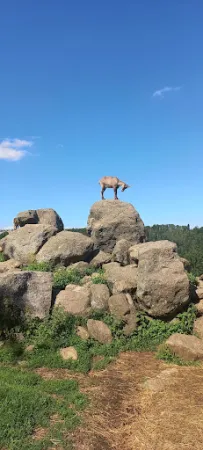 Bild von Wildparkbuffet