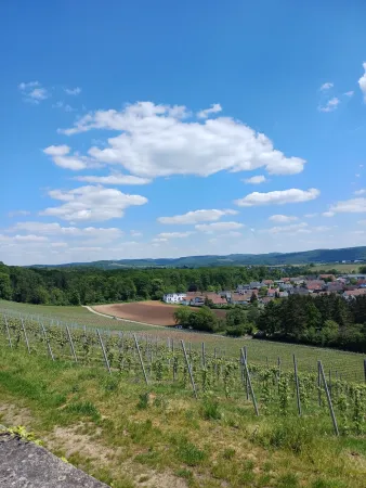 Bild von undefined