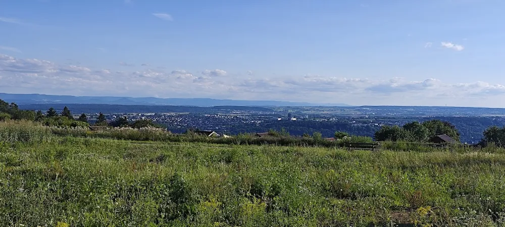 Bild von undefined