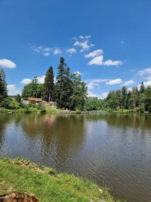Biergarten am Ebnisee ( Waldschänke )