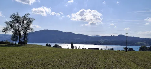 Bild von Restaurant Zenz'n Stub'n