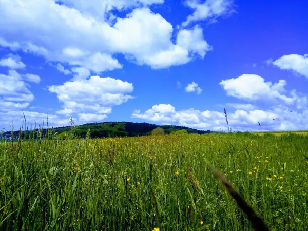 Bild von undefined