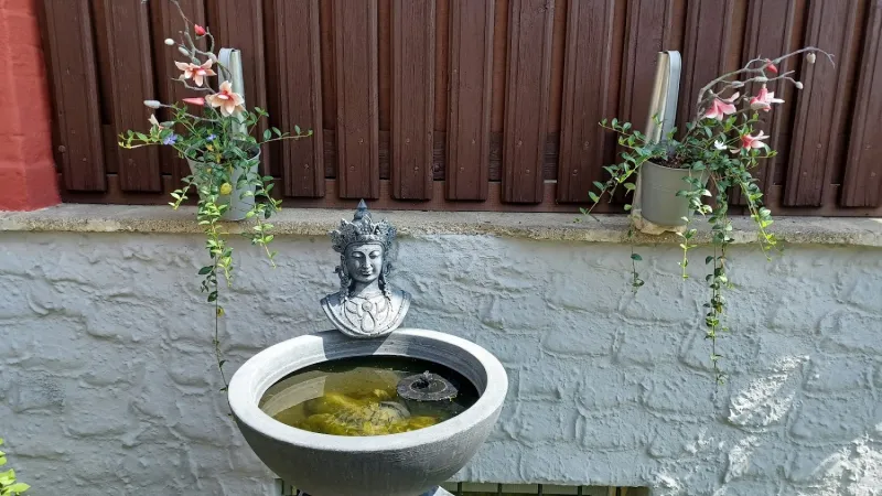 Bild von undefined