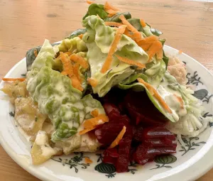 Grüner Baum - F. Götz