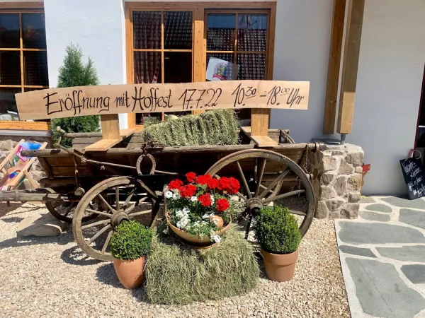 Bild von undefined