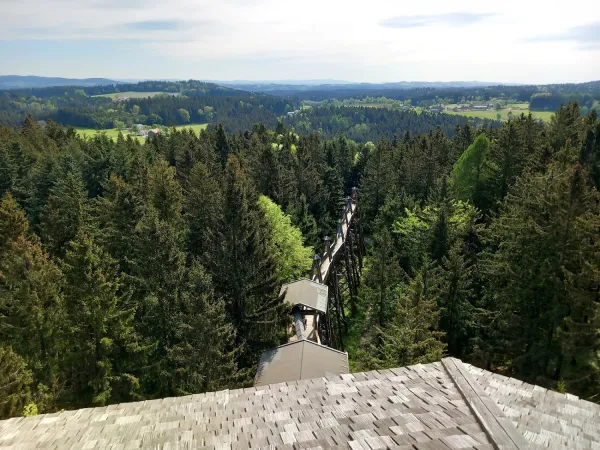 Bild von Markus Stockinger