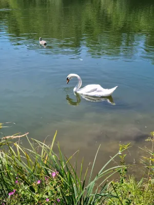 Lauchertsee Eins