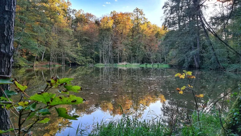 Bild von undefined