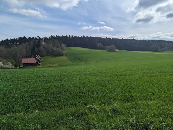 Bild von undefined
