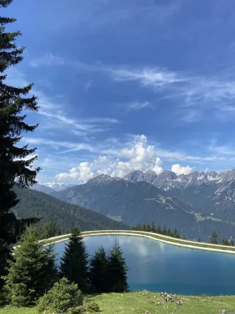 Bild von Mery Harvey