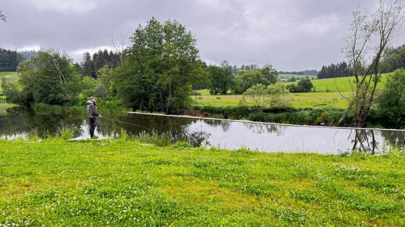 Bild von SALMOFLIES