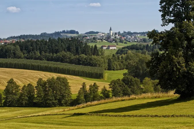 Bild von Hopfenerlebnishof
