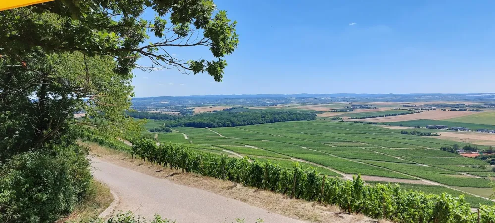 Bild von undefined