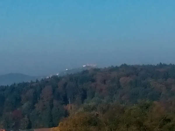 Bild von Grisha Todorov