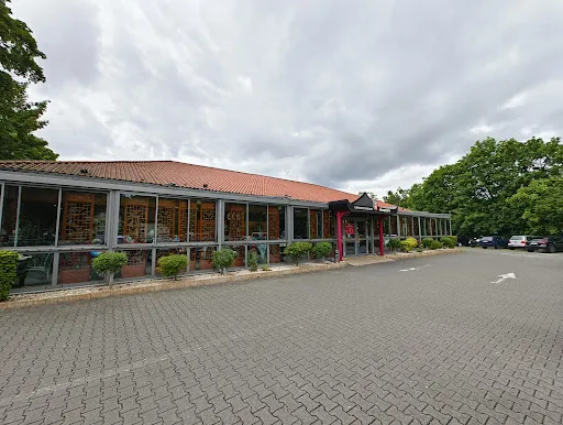 Bild von Dynasty Chinarestaurant