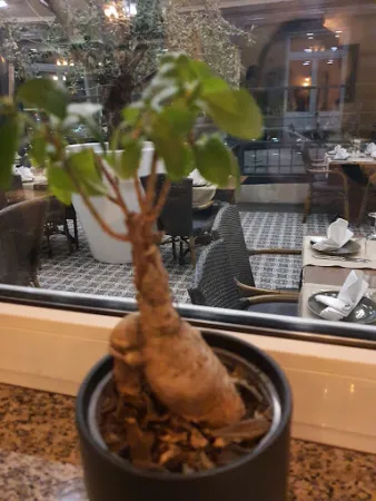 Bild von Restaurant Aspendos
