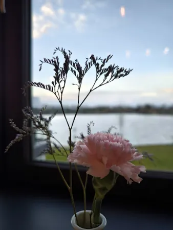 Bild von 𝙉𝙊𝘼𝙃 Restaurant & Lounge