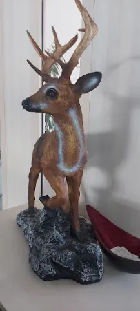 Bild von Gaststätte Hirschgraben
