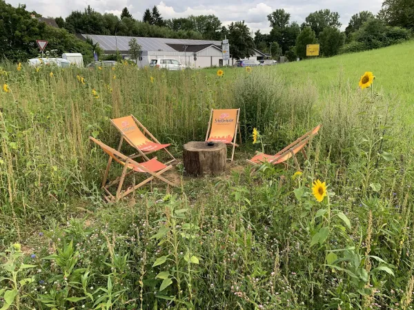 Bild von undefined