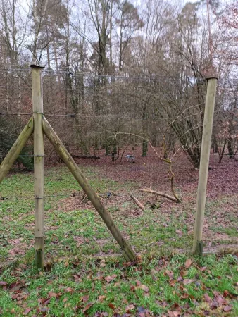 Bild von undefined