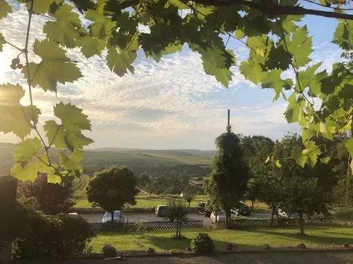 Bild von Weinhof Paul