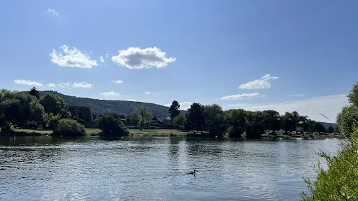 Bild von Der Biergarten am Main