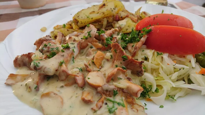 Bild von undefined
