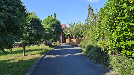 Bild von Schirmers zur Rampe