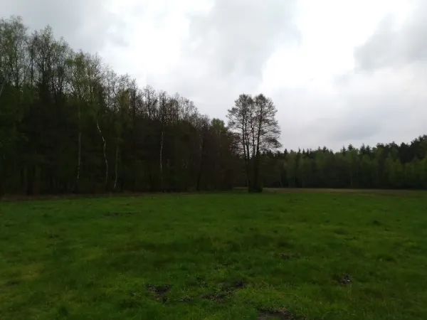 Bild von undefined
