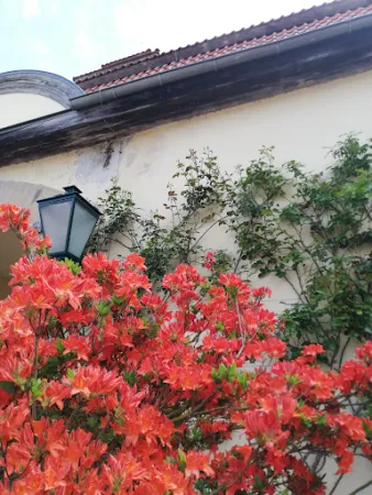 Bild von Schlossrestaurant und -café "Die Fasanerie"