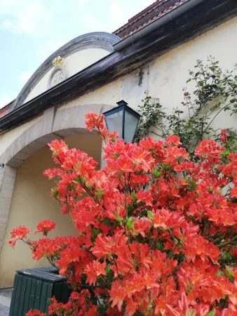 Bild von Schlossrestaurant und -café "Die Fasanerie"