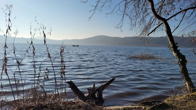 Bild von undefined