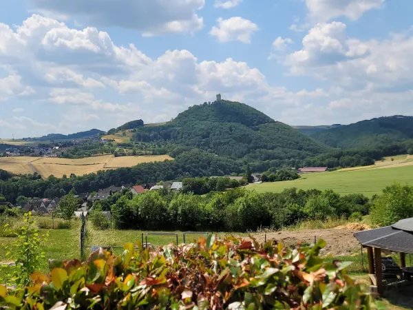Bild von undefined
