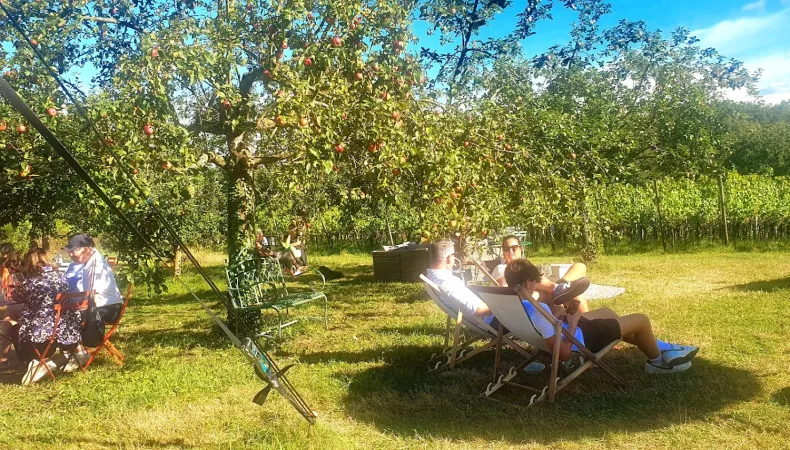 Bild von undefined
