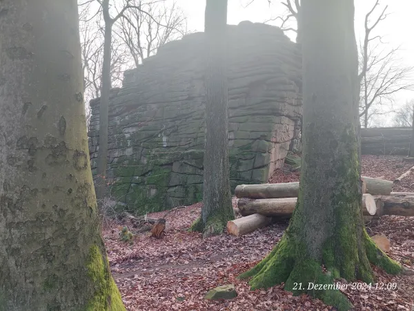 Bild von undefined