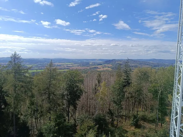 Bild von undefined