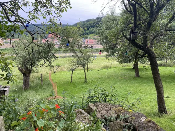 Bild von undefined