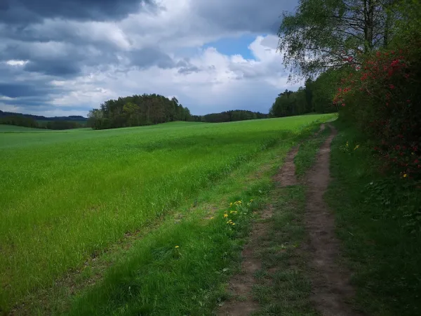 Bild von undefined