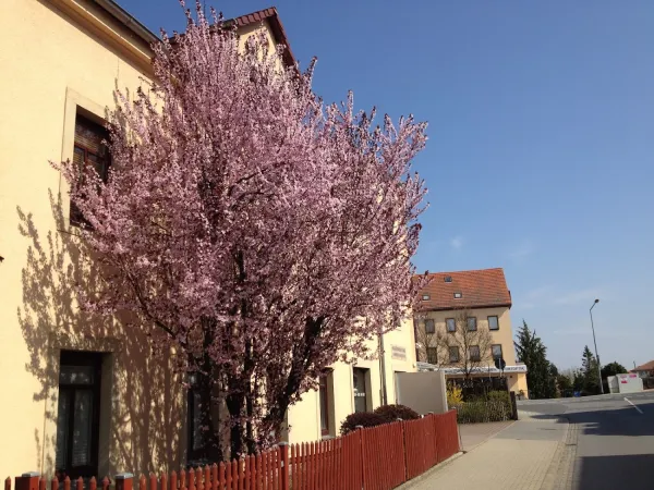 Bild von undefined