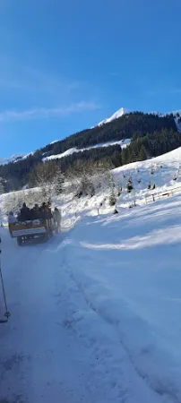 Bild von Alpengasthof Schönanger Alm