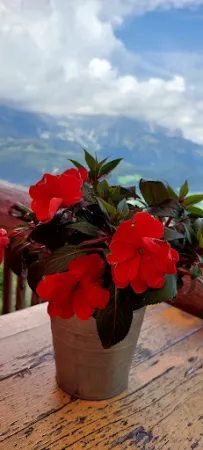 Bild von Rübezahl-Alm