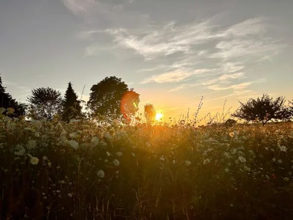 Bild von Susanne Gsenger