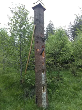 Bild von Café am Moorwald