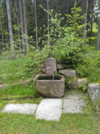 Bild von Café am Moorwald