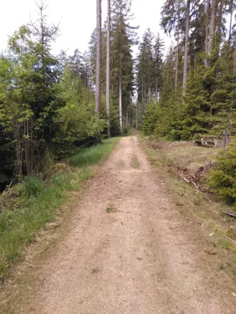 Bild von Café am Moorwald