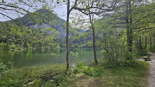 Bild von Gasthaus Seebauer