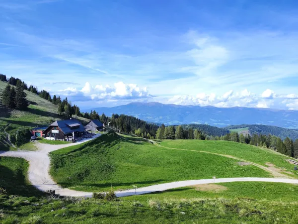 Bild von claudiu craciun