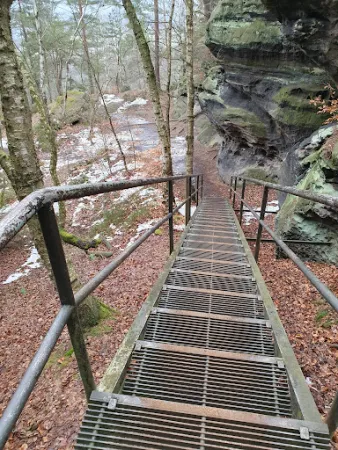 Bild von Bergwirtschaft Papststein